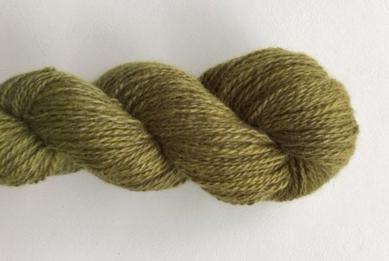 Alpaca 400 - lente